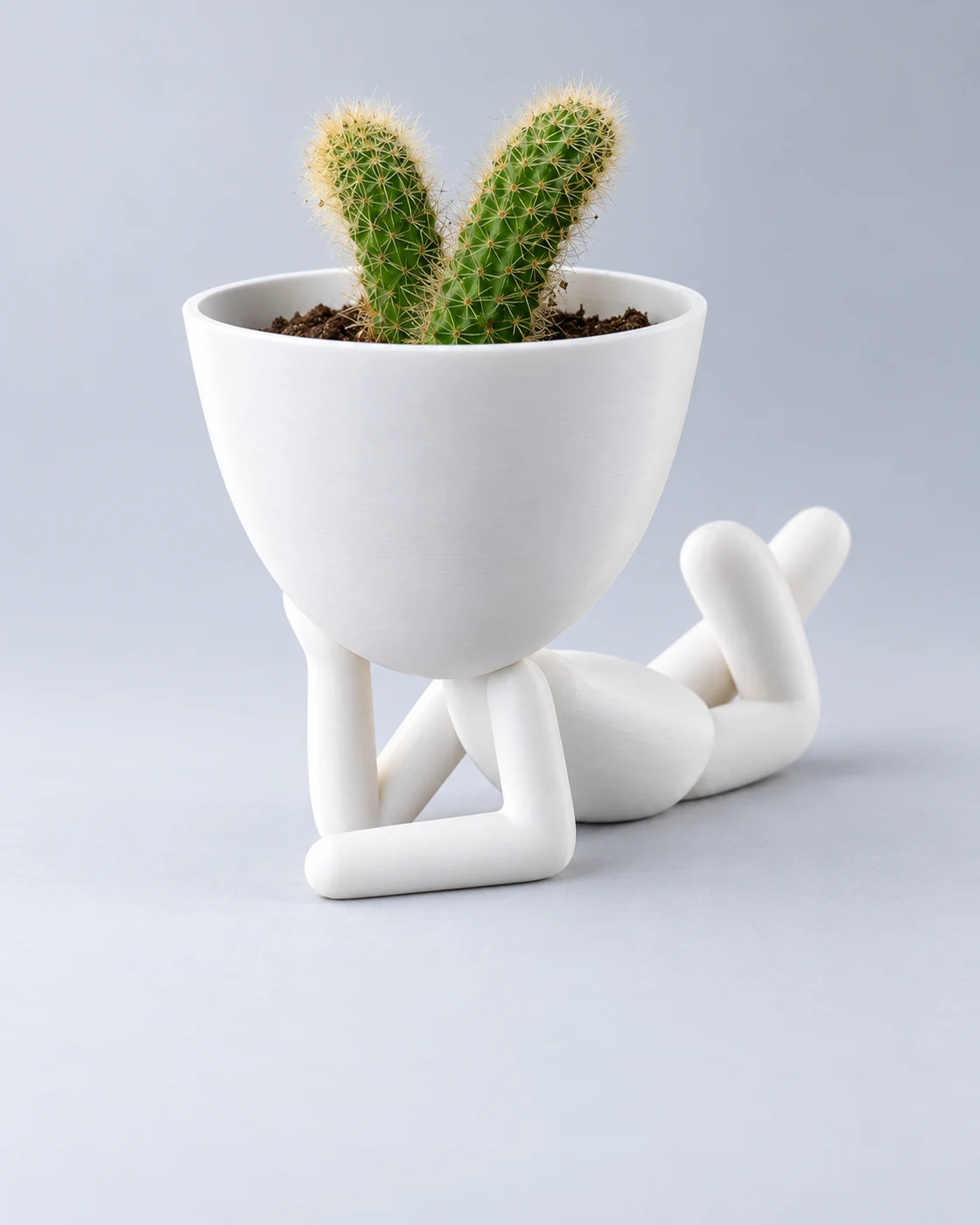 Maceta Robert blanca con cactus